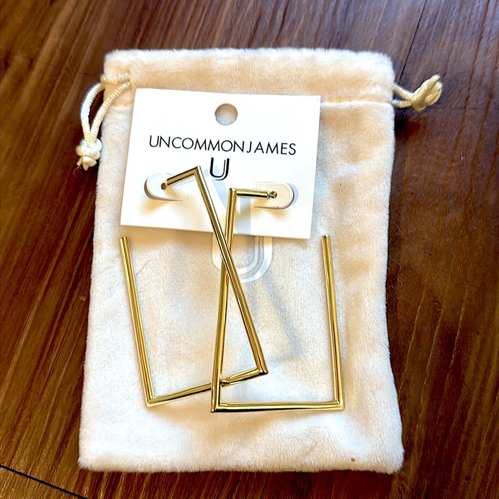 🆕🌿UNCOMMON JAMES: “HEAT” Large Open-Rectangle Earrings